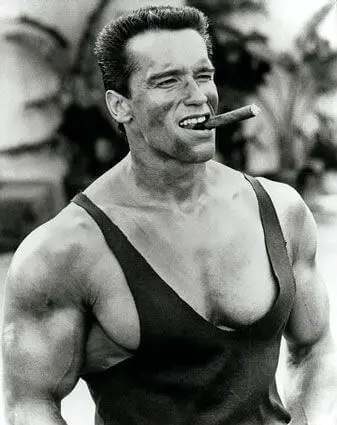 Arnold Schwarzenegger, Height, Weight, Age, Body Fat Percentage
