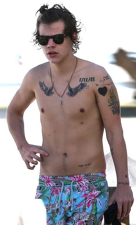 Harry Styles, Height, Weight, Body Fat Percentage