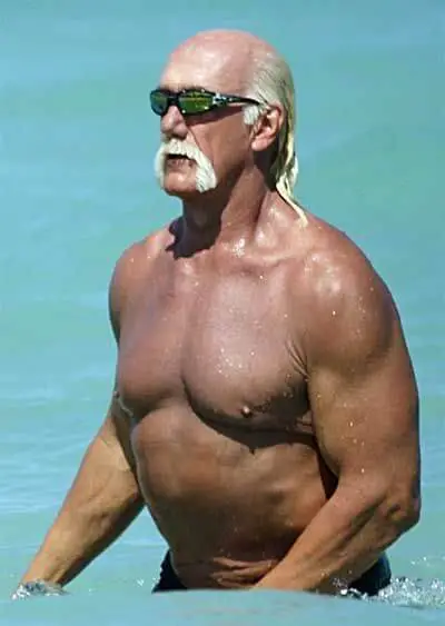 Hulk Hogan height and weight