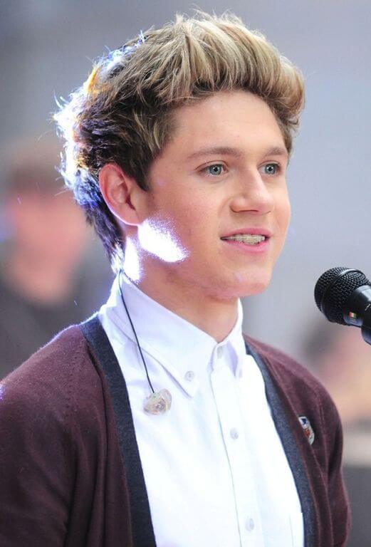 Niall Horan, Height, Weight, Body Fat Percentage