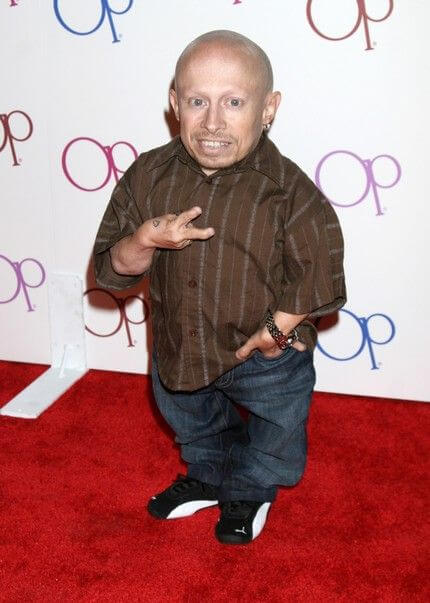 Verne Troyer, Height, Weight